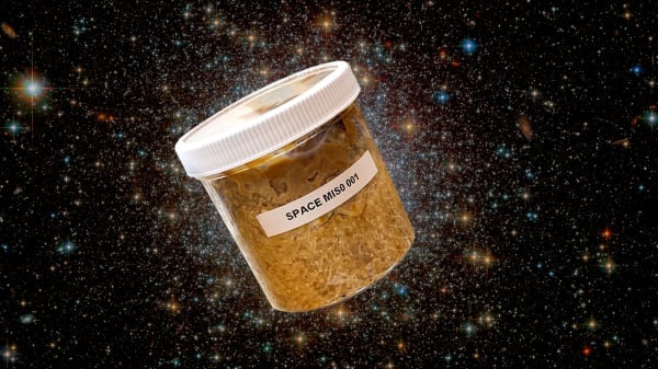 I fremtiden skal vi endnu længere ud i rummet: En miso i kredsløb om Jorden kan være med til at gøre det lettere