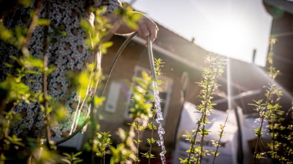 Usædvanlig tørt for årstiden: Meteorologen bider mærke i 3 ting