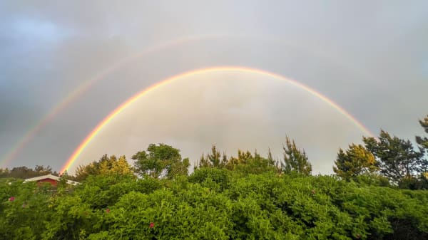 Dobbeltregnbuer, hagl og sky-drama: Gå på weekend med flotte fotos fra ugens vilde vejrskifte