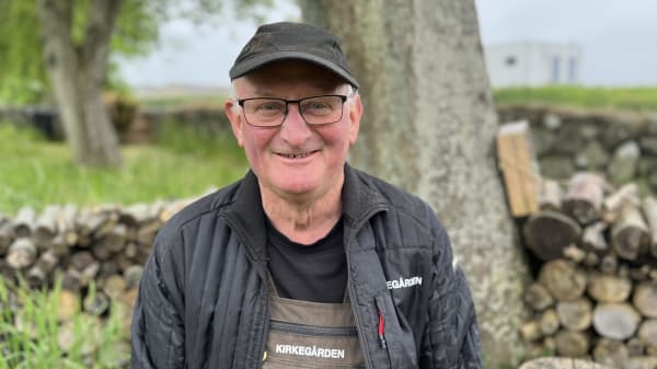 Insekthotel og knæhøjt græs skaber nyt 'liv' på nordjysk kirkegård
