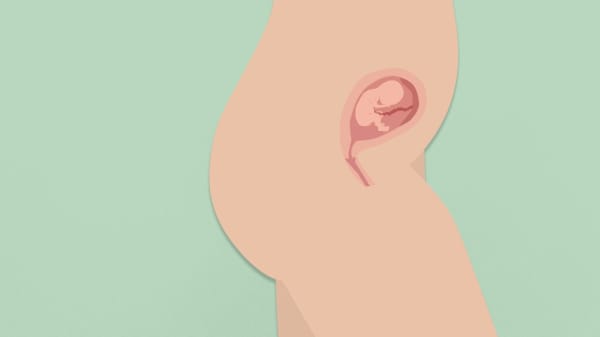 I dag hæves abortgrænsen fra 12. til 18. graviditetsuge
