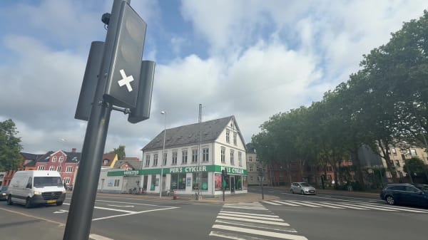 Måge skabte kaotiske tilstande i fynsk morgentrafik