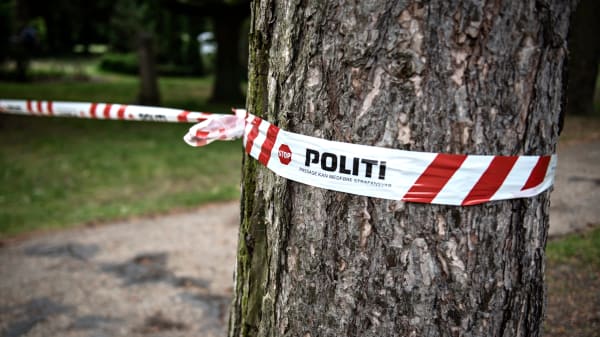 Tiltale: Bagmand bestilte fem lejemord i Danmark