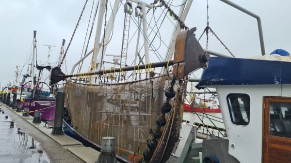 Forbud mod bundtrawl står til at gå uden om beskyttet hav med intenst fiskeri: 'Meget, meget, meget alvorligt'