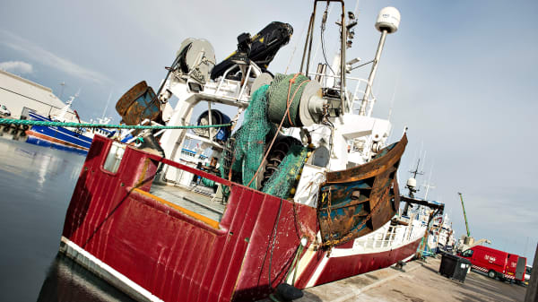 Danmarks Fiskeriforening drømmer om en 'blå trepart', men parterne er sømil fra hinanden