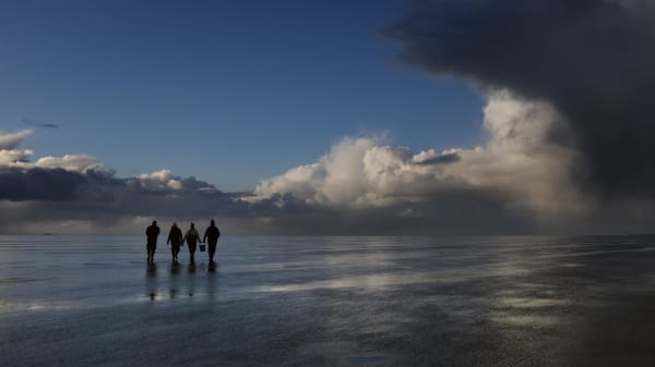 Kan naturbeskyttelse rime på bundtrawl? Derfor synes eksperter, at regeringen skal forbyde bundtrawl i Vadehavet