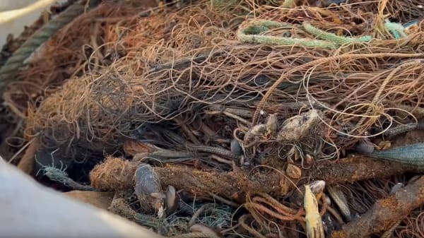 Et ton spøgelsesnet hevet op ud for Bornholm