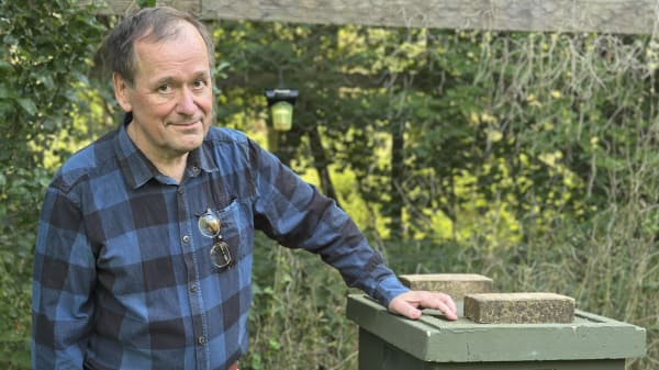 Første invasive hveps registreret i Danmark landede i Ejners øl: 'Det skulle den ikke ha' lov til'
