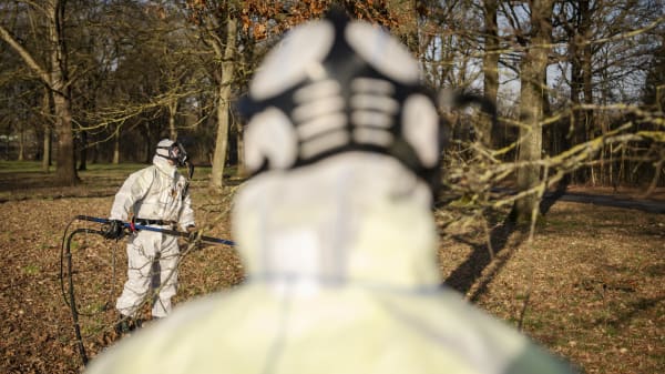 Professor: 'Larven fra Helvede' kan snart have bredt sig til størstedelen af Fyn