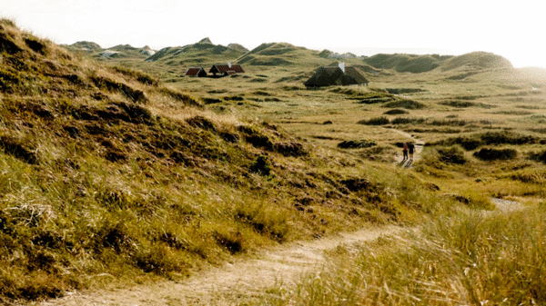 En uforstyrret perle i det nordjyske: Gå på opdagelse i Skagens klitter