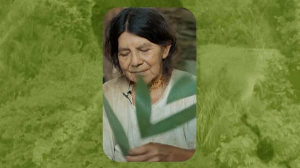 80-årige Rosarias krop er en videnskabelig sensation: Se, hvordan hun lever i Bolivias regnskov