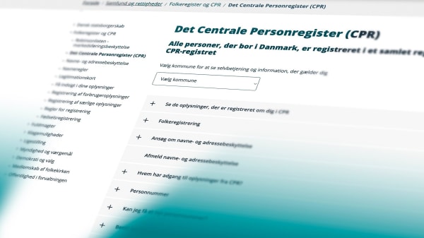 Han har snaget i personoplysninger, og det er han langt fra alene om: 'Det er noget, vi ser hver uge'