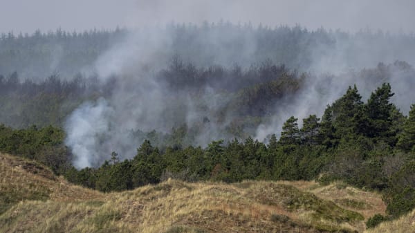 Politiet på bar bund om årsag til storbrand i Skagen Klitplantage