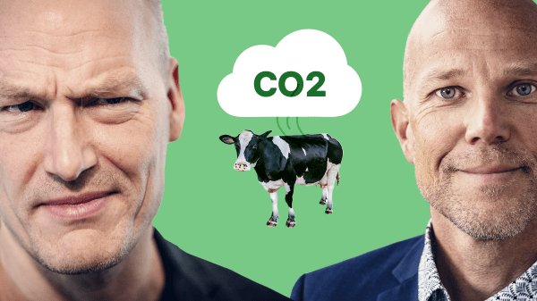 'Horribel' brug af skattekroner eller 'naturlig' investering? Hundedyr klimaaftale udfordrer partifarverne på Christiansborg