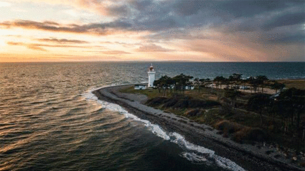 Her kan du både samle til din egen pesto og (måske) se Danmarks eneste fugleedderkop