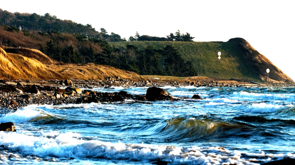 Her kan du opleve den natur, som naturnørderne selv vælger: 'En gang Røsnæs, altid Røsnæs'