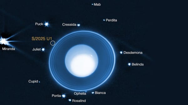 Med verdens største rumteleskop har forskere fundet ny måne omkring Uranus