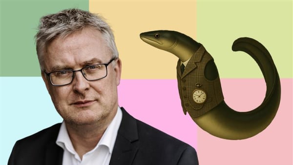 Røget, stegt eller i gelé: Ministerie deler opskrifter på kritisk truet ål  