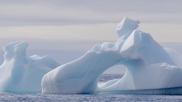Ny analyse: Risikoen for kollaps af kritisk havstrøm er større, end vi tror
