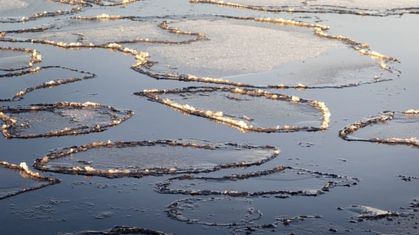 'Frustreret' toppolitiker takker forskere for ny viden om katastrofalt kollaps