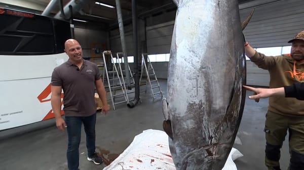 Ekspert mener, det er på tide, at Danmark igen får en tunindustri