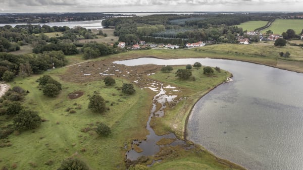 Ny lokal trepartsaftale landet: Slut med at dyrke lavbund omkring Det Sydfynske Øhav