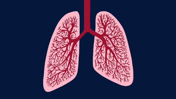 Populær åndedrætstræning vil have os til at trække vejret markant mindre