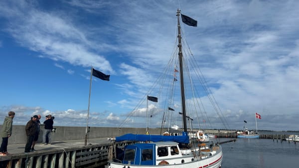 SF klager over Odense Havn: Havnen bliver brugt som rambuk