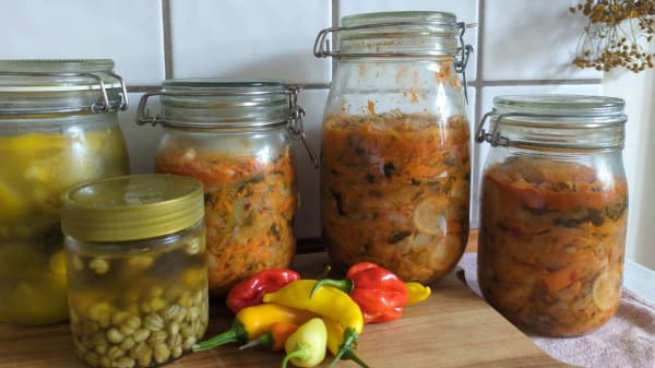 Flere fermenterer, men styrelse advarer mod potentielle bakteriebomber