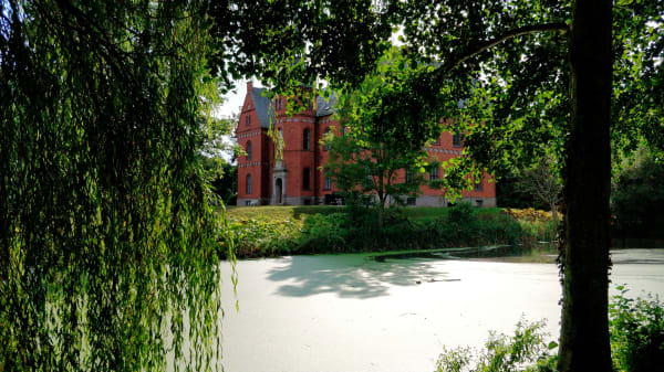 Sag om urørt skov på et gammelt gods er muligvis ikke slut endnu