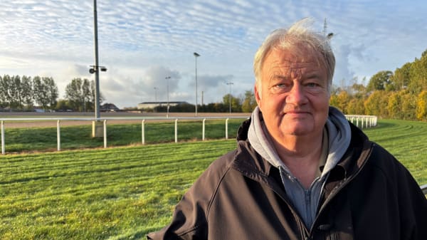 Ed Sheeran i Aalborg? Kommune vil bygge kæmpe eventplads til mega-koncerter