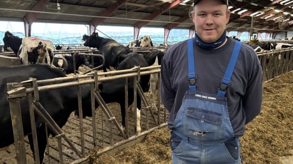 Støtte fra EU skal sikre flere unge landmænd - men de må vente længe på at få pengene