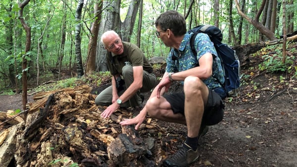 Zoo-kongen: En ting skal vi turde som mennesker for ikke at gå i stå 