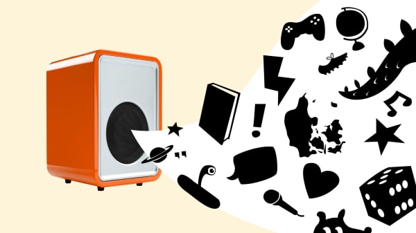 Programmer om dyr og piger i 6. klasse skal få børn til at høre radio: Men et emne ved mediet ikke, om de skal tale om