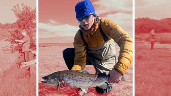 I 1400-tallet fangede de fisk med bæver-testikler og magi: Naturkrisen er slet ikke så ny, siger forfatter