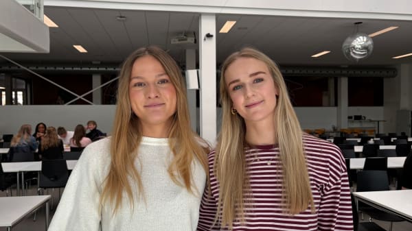 Forsker: Hjælp din førstegangsvælger ind i demokratiet hjemmefra