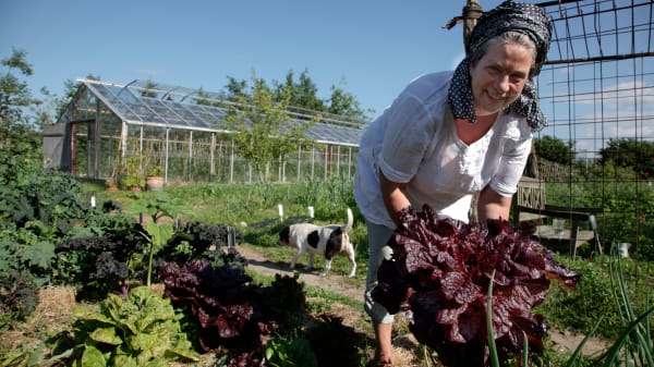 Så dild og drop haveporno - her er Camilla Plums bedste råd til at få køkkenhaven til at lykkes