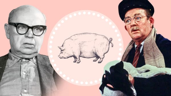 Fra grisehandler Larsen til flæske-skam: Derfor har svinet altid været politisk