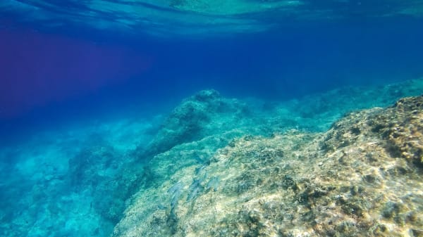 Klimaet er ude af balance: Havene gemmer på varme, der kan påvirke os i århundreder