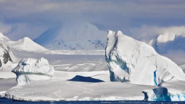 Elefanter tilbage til Danmark: Istiderne afslører hvilke arter, der kan overleve klimakrisen 