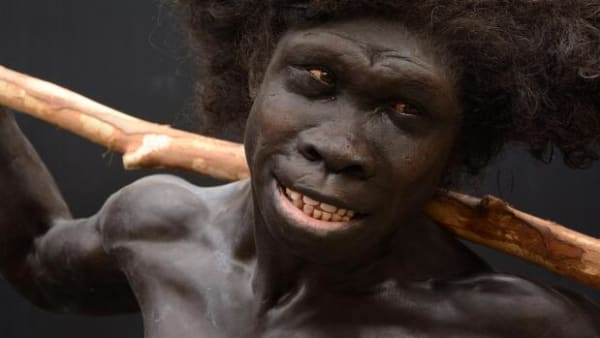 De første mennesker var overraskende kloge: Værktøj er 700.000 år ældre, end vi troede