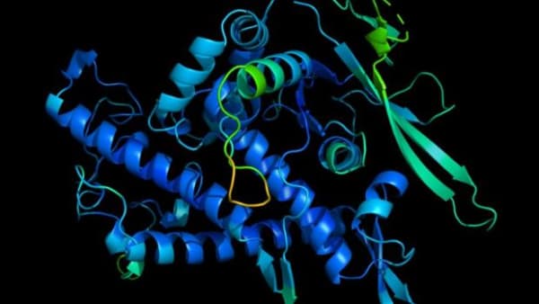 'Det er et gennembrud': Kunstig intelligens knækker koden bag protein-mysterie
