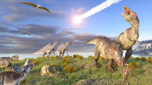 Asteroide udryddede dinosaurerne, men skabte regnskoven i Sydamerika 