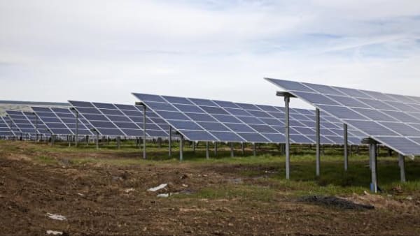 Solcelleparker popper op i hobetal: 'Det kan koste den folkelige opbakning'