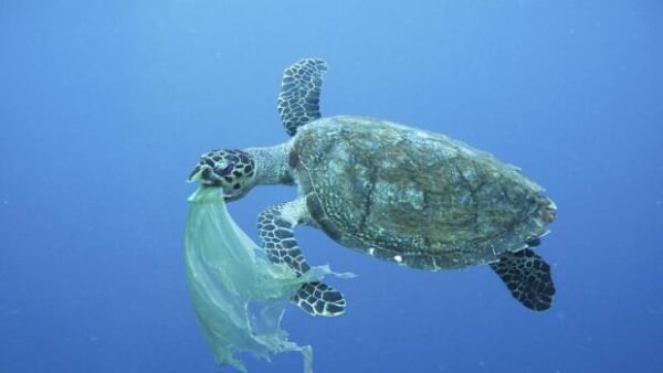 Forsker: 'Hvis plastik blev opfundet i dag, ville det ikke blive tilladt'