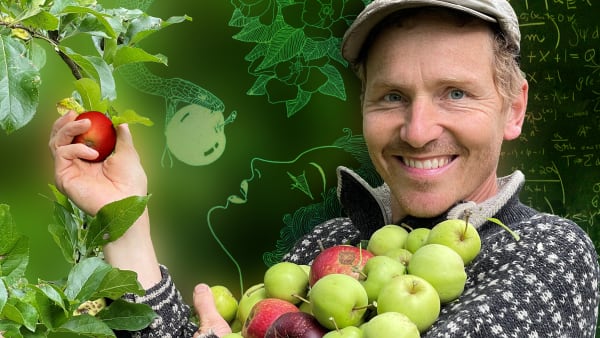 Næste uges DR: Frank Erichsen holder to timers æblefest på DR2