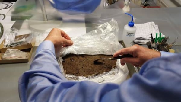 Vildt amatørfund: Se skat med 3.000 år gamle smykker blive åbnet