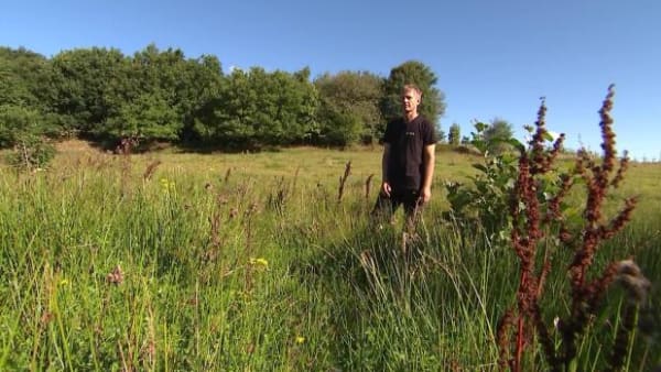 Sten har skabt natur på sit øko-landbrug i årevis: Nye regler kan tvinge ham til at rydde det