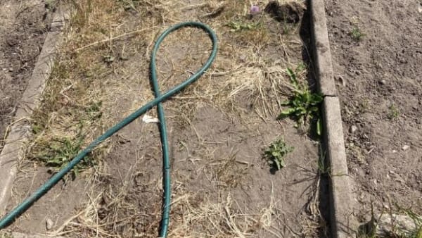 På Bornholm tørster haverne: DMI advarer om risiko for alvorlig tørke