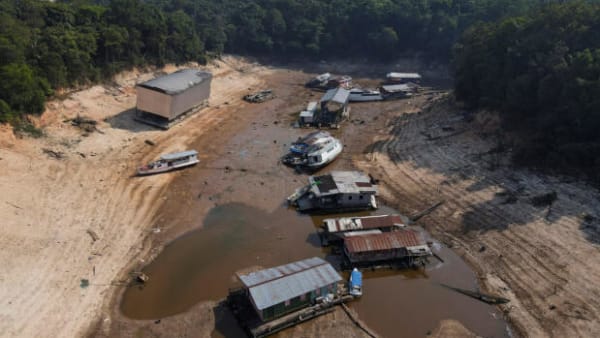 Store flodløb i Amazonas tørrer ud og falder med op til 20 centimeter om dagen